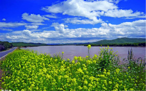飲用凈水器的水究竟是否會(huì)導(dǎo)致?tīng)I(yíng)養(yǎng)缺乏？